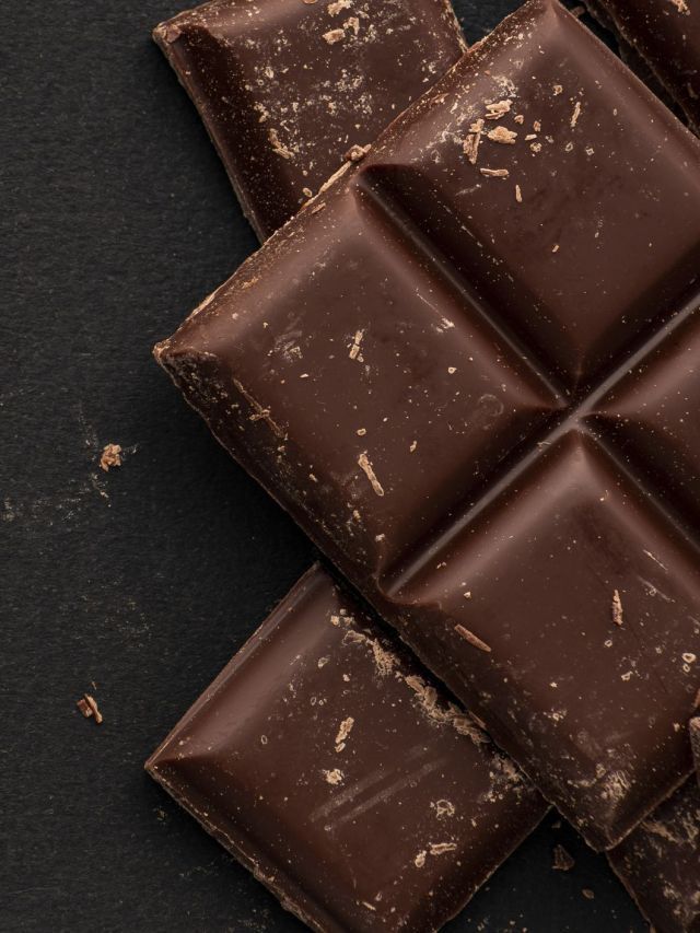 Pets podem comer chocolate? Alimento oferece risco a cães e gatos