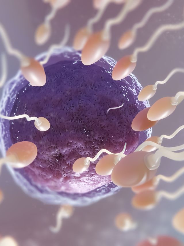 Contraceptivo masculino por implante avança em testes na Austrália